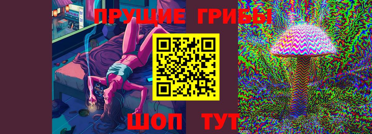 Лесозаводск  Псилоцибиновые грибы MAGIC MUSHROOMS  Вход с VPN  Псилоцибиновые грибы мицелий 