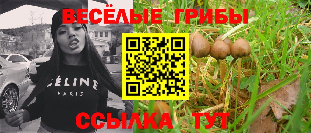 Псилоцибиновые грибы ЛСД Лесозаводск